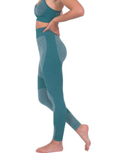 Megara Seamless Legging with Striped Panels - Green
