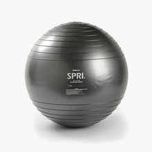 SPRI ELITE Training Exercise Ball